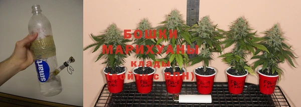 mdpv Магас