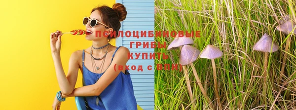 mdpv Магас
