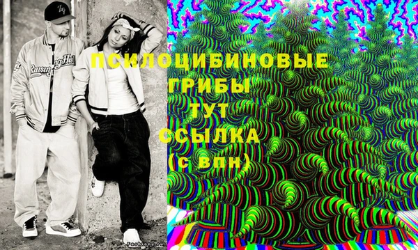 mdpv Магас